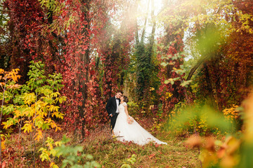 Newlyweds couple kissing in autumn forest