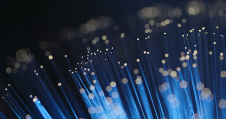 Optical fiber light