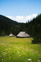 Fototapeta na wymiar Two huts on a meadow on the mountains in Zakopane, Poland.