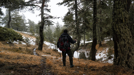 camper hiking in winter in forest