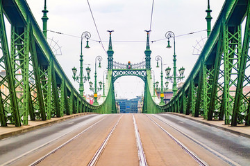 Freedom Bridge in Budapest.