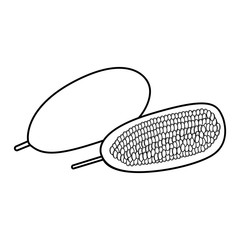 Super delicious fruit