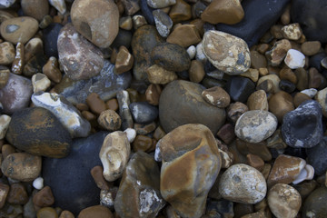 Stone Beach Pebbles 