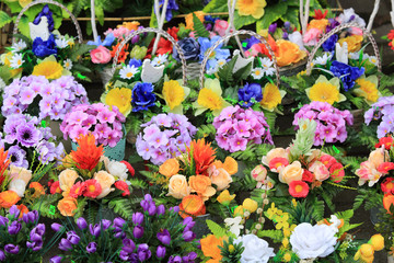 Kwiaty w różnych kolorach i rodzajach w kwiaciarni. - obrazy, fototapety, plakaty
