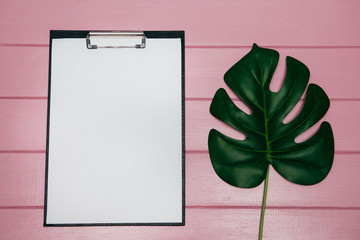 Monstera leaves and notepad on a pink background