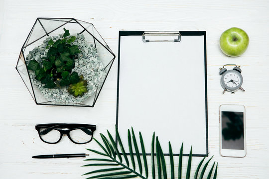 Office concept. Florarium vase, notepad, glasses and phone  on a white background.
