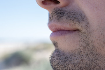 Detail of a man's beard