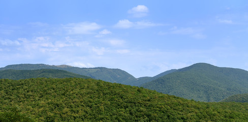 Beautiful mountains covered with dense greenery and trees. Peaks of the mountains and blue sky