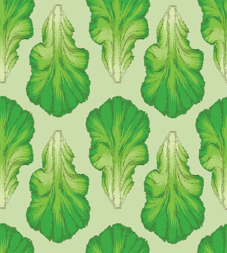 Fresh Green Lettuce Leaf Pattern