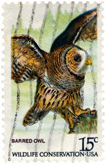 Barred Owl Postage Stamp