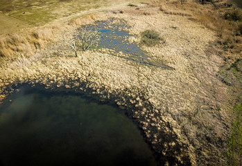 unberührtes Feuchtgebiet 