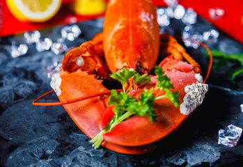 Papier Peint photo Lavable Crustacés Portrait of a red lobster with a bouquet of parsley in a clove, small white snails grown on the lobsters shell, on a black stone tray on red wooden background, Valentines, Mothers day or Sorry Concept
