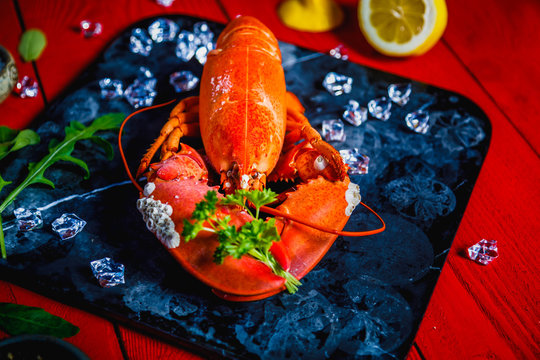 Portrait of a red lobster with a bouquet of parsley in a clove, small white snails grown on the lobsters shell, on a black stone tray on red wooden background, Valentines, Mothers day or Sorry Concept