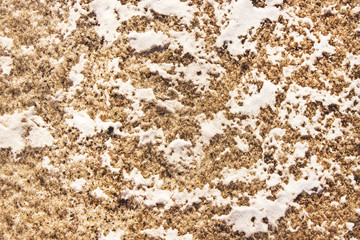 melting dirty snow texture background