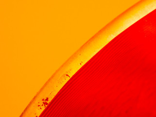 Vibrant minimalism Plate