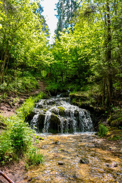 Forest stream "Gremuchiy ruchey" - Natural landmark in Zhukovsky district, Kaluzhskoy region, Russia
