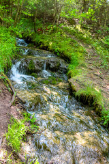 Forest stream "Gremuchiy ruchey" - Natural landmark in Zhukovsky district, Kaluzhskoy region, Russia
