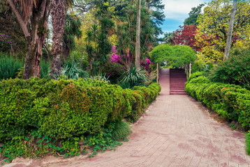 Botanical gardens in Batumi.Georgia