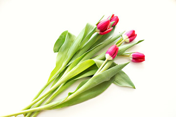 Beautiful bright bouquet of tulips with water drops on white background