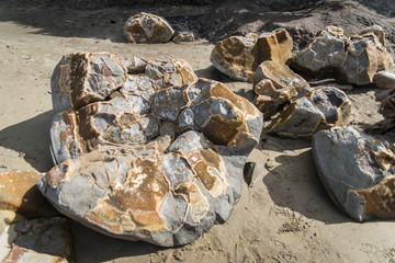 The insides of a Moeraki Boulder on a beach in New Zealand. 