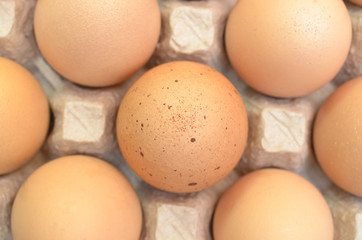 Brown eggs with one freckled egg in a cardboard tray.