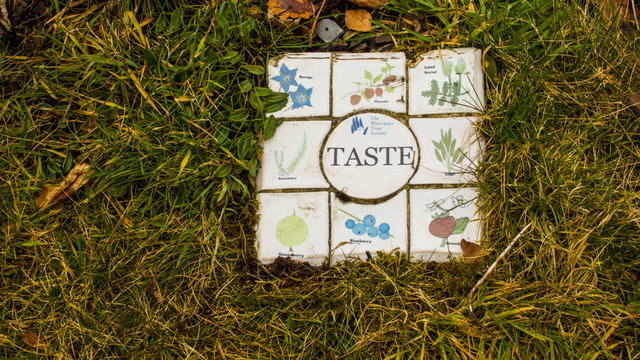 Little tile illustrations showing plants and Taste.