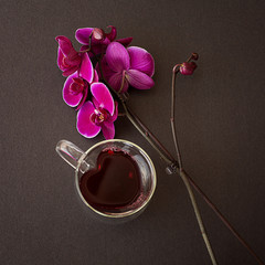 Pink orchid and a cup of red tea on a black background