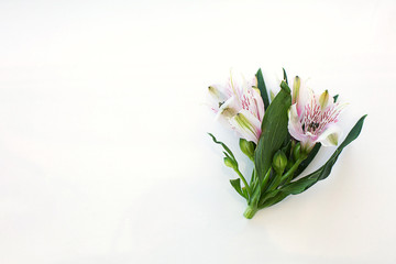 Bouquet of flowers alstroemeria on a white background