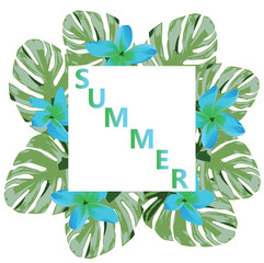 Vector Palm Leaves Summer Time