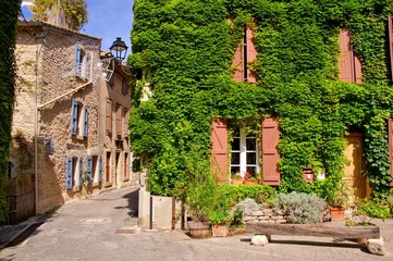 Fototapeta na wymiar Old leafy buildings in a picturesque village in Provence, France