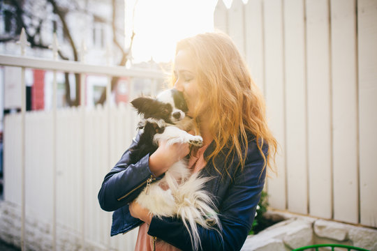 A young red-haired Caucasian woman holds a small funny dog in the arms of two colors of black and white chihuahua. Hugs and kisses love shows against a white wooden fence at sunset
