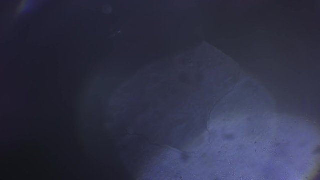 adorable fishnet snowflake melts