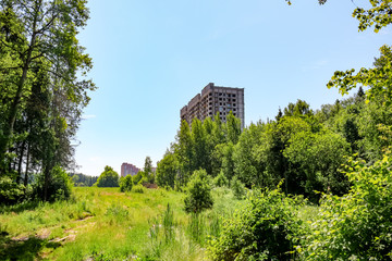 Fototapeta na wymiar New buildings behind the forest 