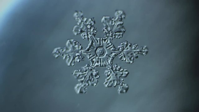 Relief adorable fishnet snowflake