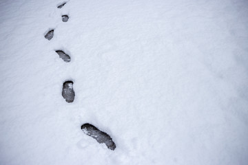雪の足跡