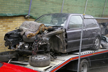 Salvage
