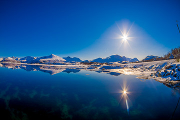 Fototapete bei efototapeten.de bestellen   