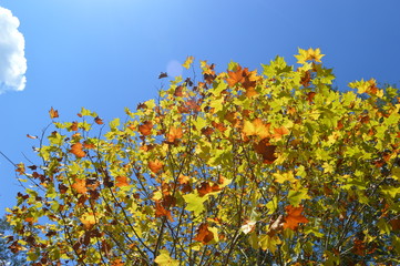 Campos de Jordão , São Paulo