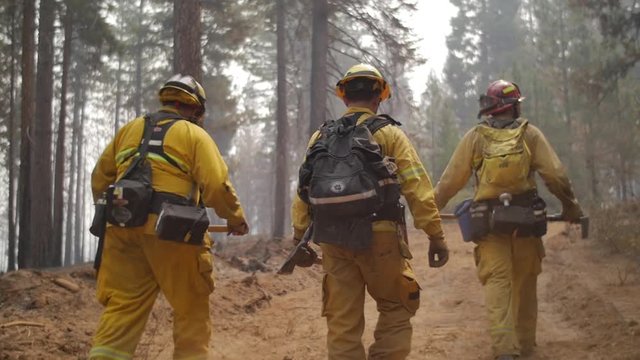 Hotshot Crew Hero Walk through Smokey Forest During Wildfire