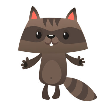 Funny cartoon raccoon. Vector illustration of small raccoon character isolated