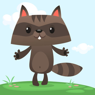 Cartoon raccoon character standing on meadow background with sky and clouds. Vector illustration