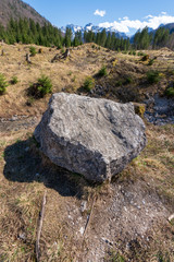 Felsen Waldlichtung mit toten Gebirge