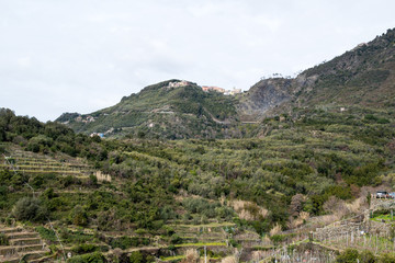 Fototapeta na wymiar チンクエテッレ～険しいリグーリア海岸の5つの村（イタリア・リグーリア州）　コルニリアの山の上にあるフォルナッキ村