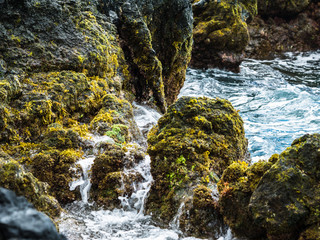 Algae Covered Ocean Rocks