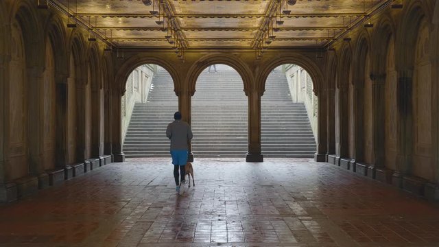 Man and dog jogging through the Bethesda Terrace and up the steps in Central Park New York.