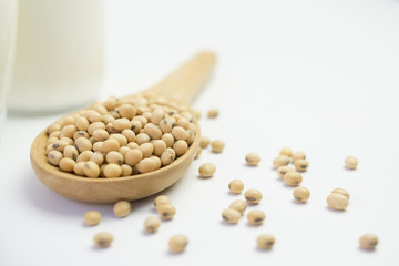 Isolated soy beans and soy milk