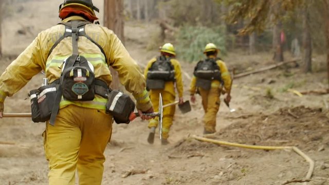 Slow Motion Firefighters Hiking Hose Line During Forest Fire
