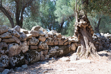 A wall composed of stones and columns of ancient times on the Sideyri island in Turkey