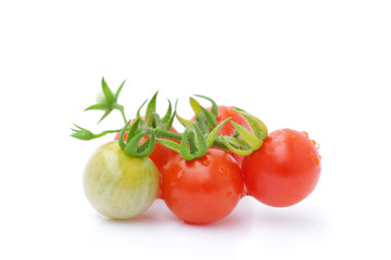 Small twins tomato