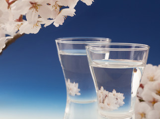 桜と酒